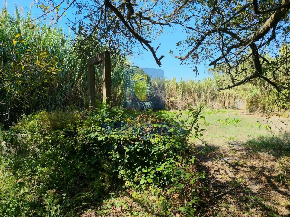 Terreno para Venda em Tornada e Salir do Porto Foto 4