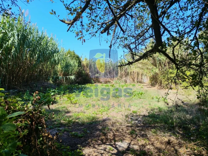 Terreno para Venda em Tornada e Salir do Porto Foto 3