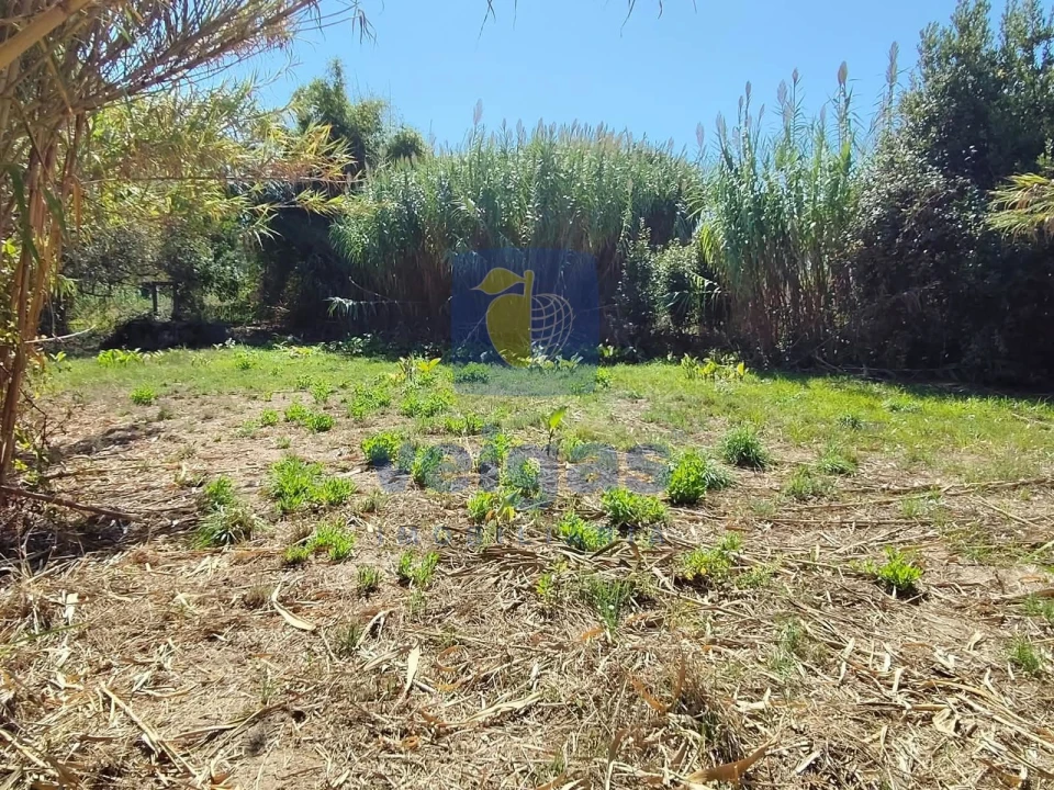 Terreno para Venda em Tornada e Salir do Porto Foto 2
