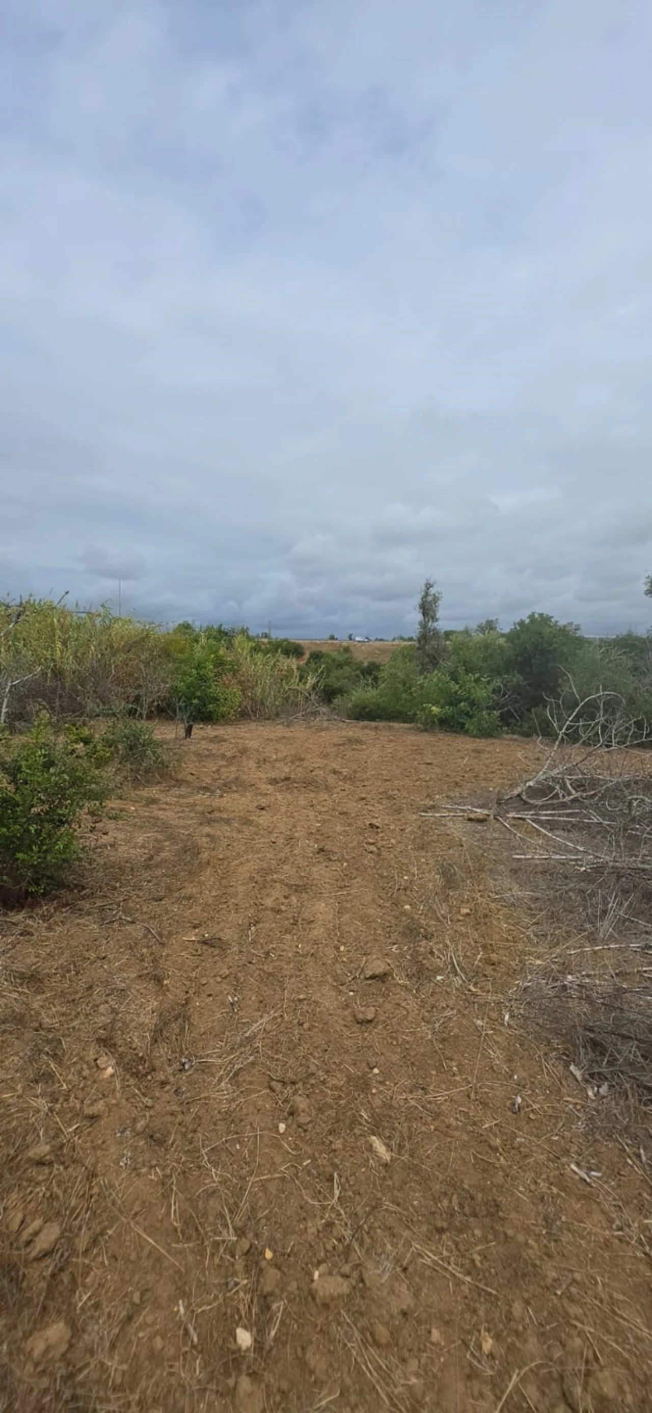 Quinta para Venda em Silves Foto 12