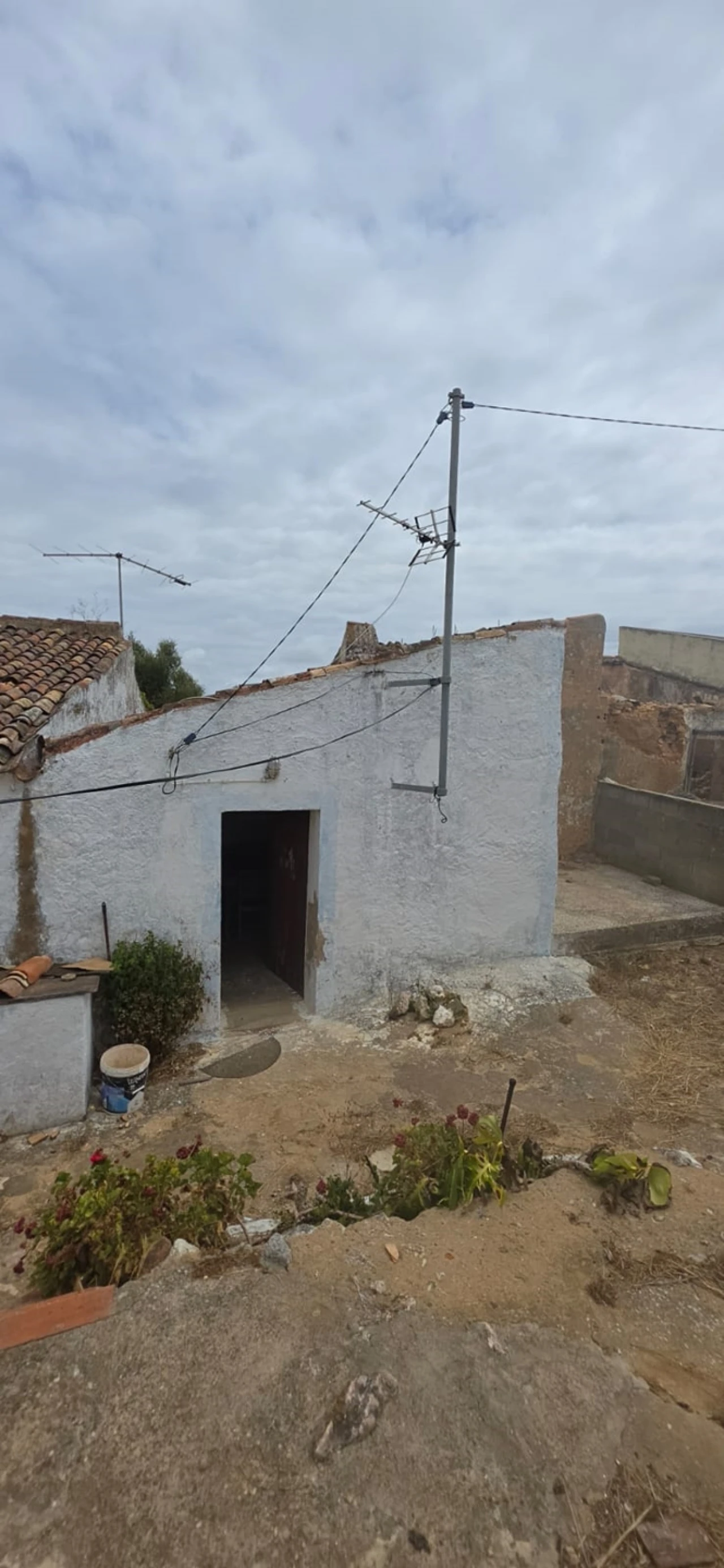 Quinta para Venda em Silves Foto 8