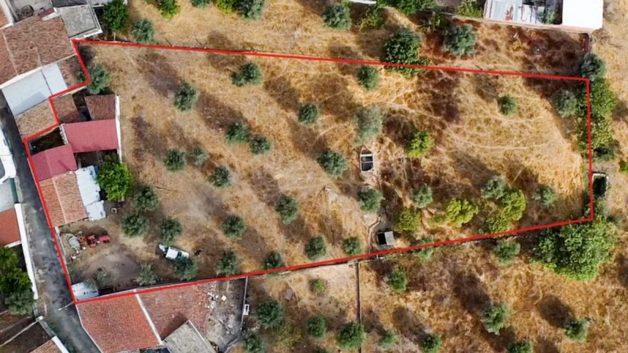 Terreno para Venda em Tolosa Foto 1