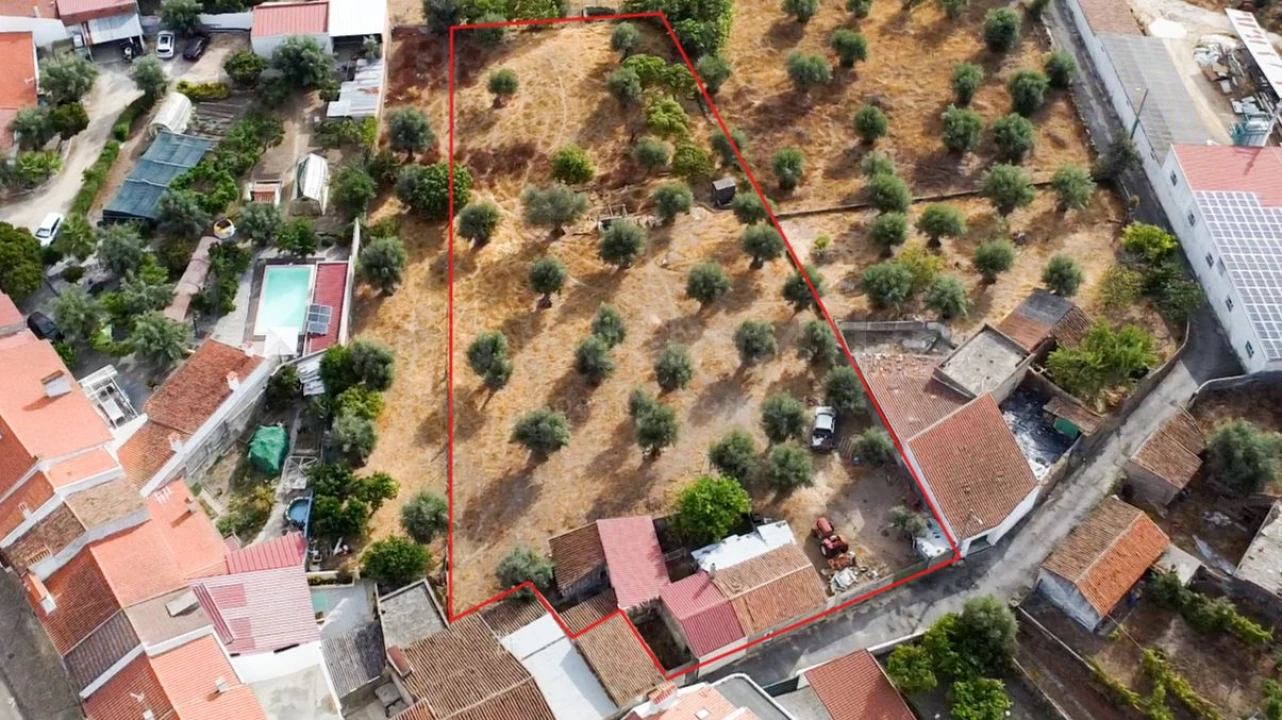 Terreno para Venda em Tolosa Foto 2
