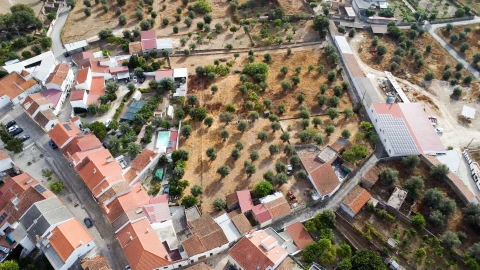 Terreno para Venda em Tolosa