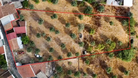 Terreno para Venda em Tolosa