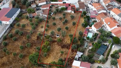 Terreno para Venda em Tolosa