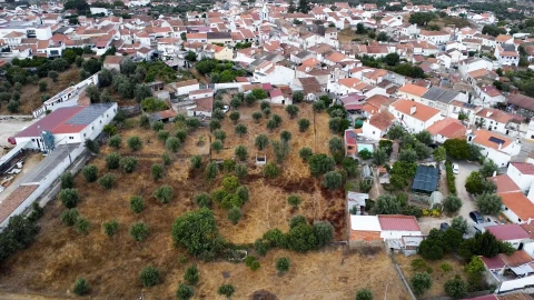 Terreno para Venda em Tolosa