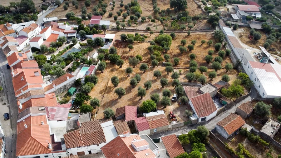 Terreno para Venda em Tolosa Foto 13
