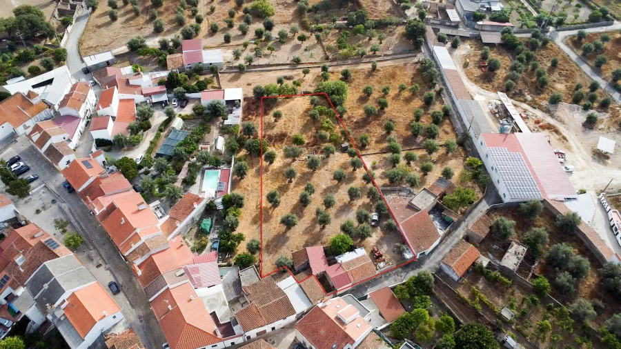 Terreno para Venda em Tolosa Foto 7