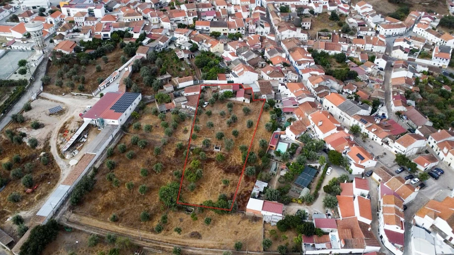 Terreno para Venda em Tolosa Foto 5
