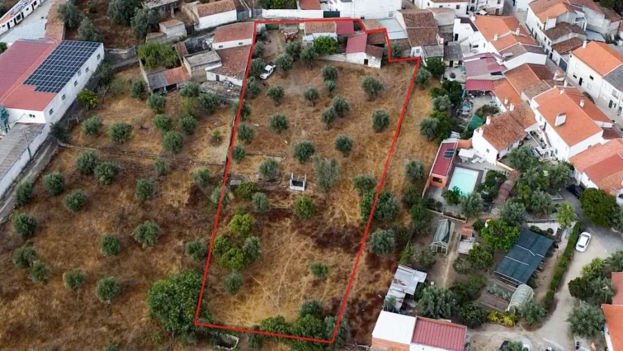 Terreno para Venda em Tolosa Foto 3
