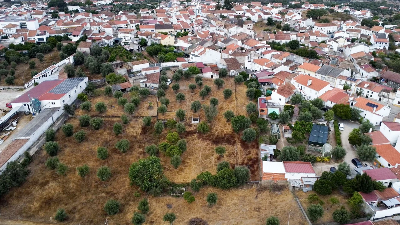 Terreno para Venda em Tolosa Foto 15