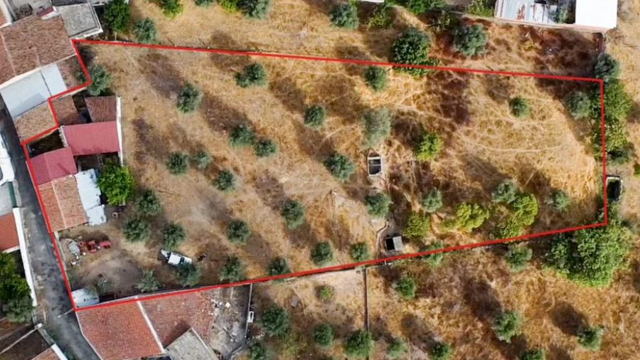 Terreno para Venda em Tolosa