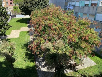 Apartamento T3 para Venda em Mina de Água