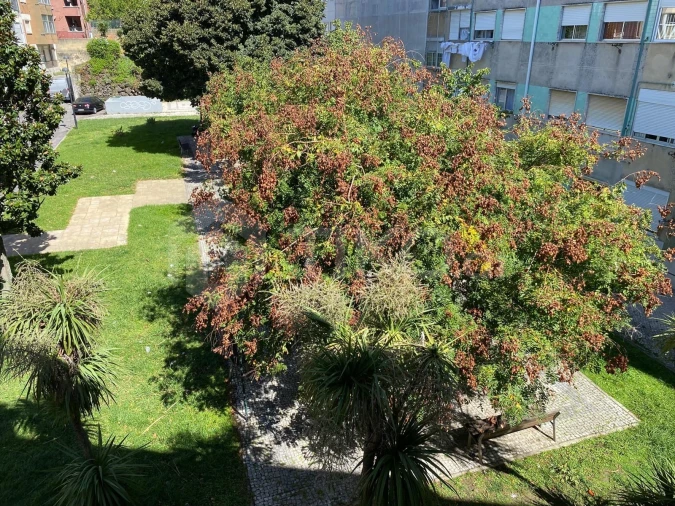 Apartamento T3 para Venda em Mina de Água Foto 22