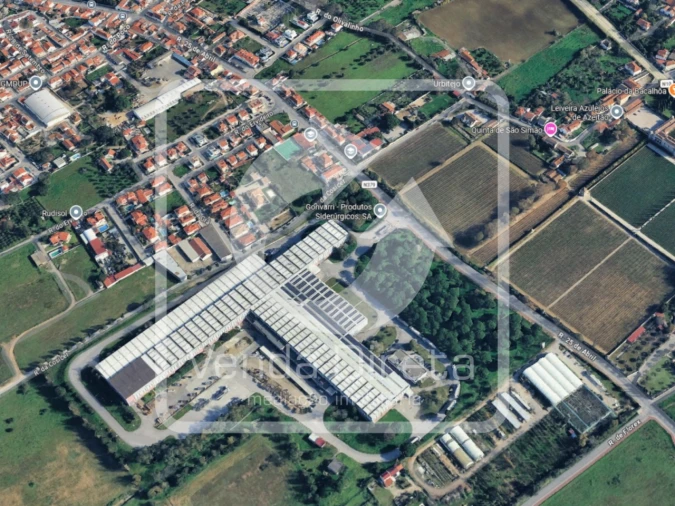 Armazém para Venda em Azeitão (São Lourenço e São Simão) Foto 9