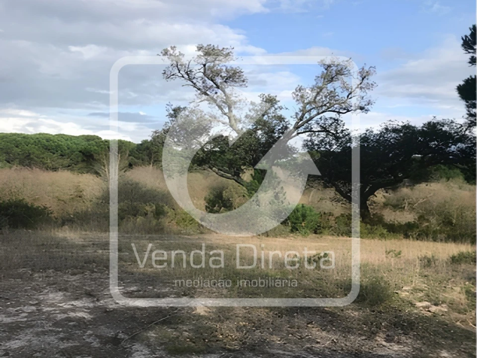 Terreno para Venda em Alcochete Foto 6