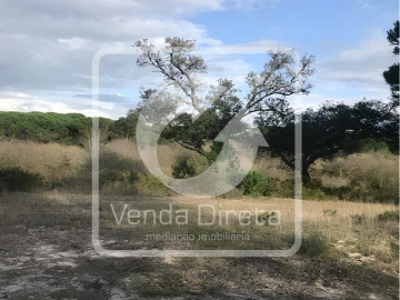 Terreno para Venda em Alcochete