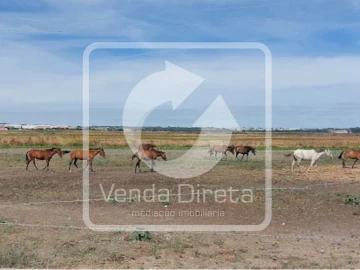 Terreno para Venda em Alcochete
