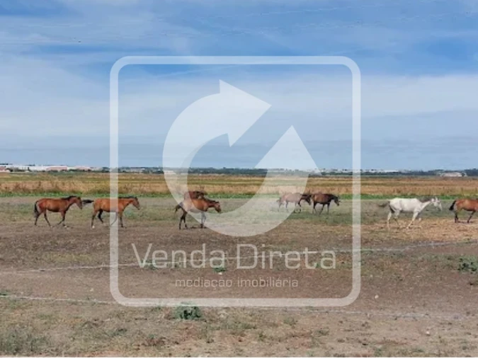 Terreno para Venda em Alcochete Foto 8