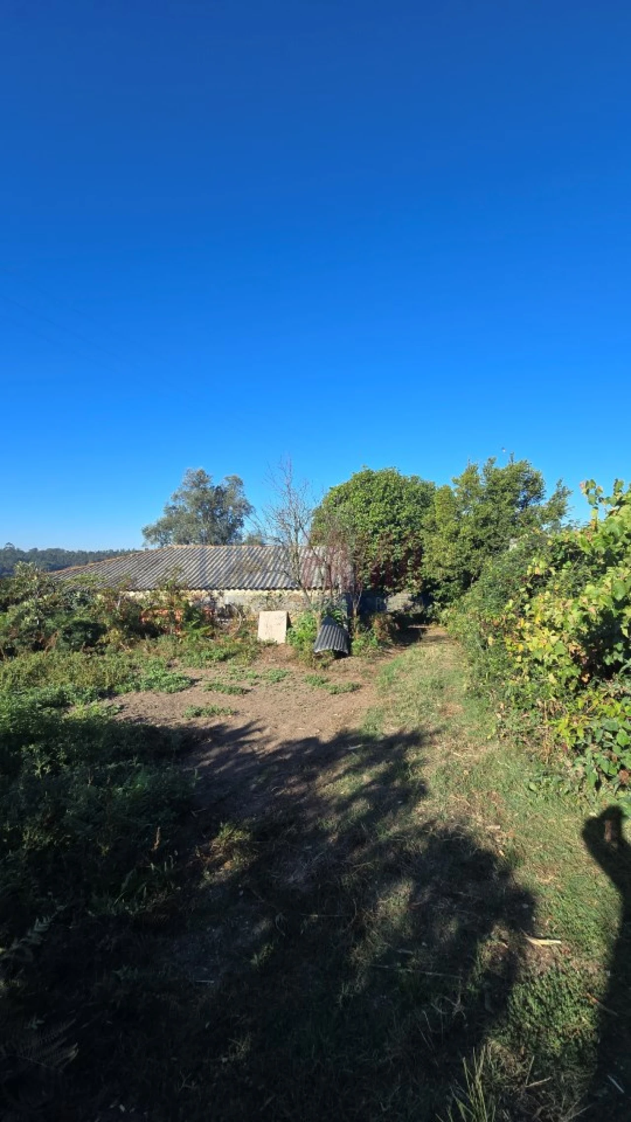 Terreno para Venda em Bagunte, Ferreiró, Outeiro Maior e Parada Foto 5