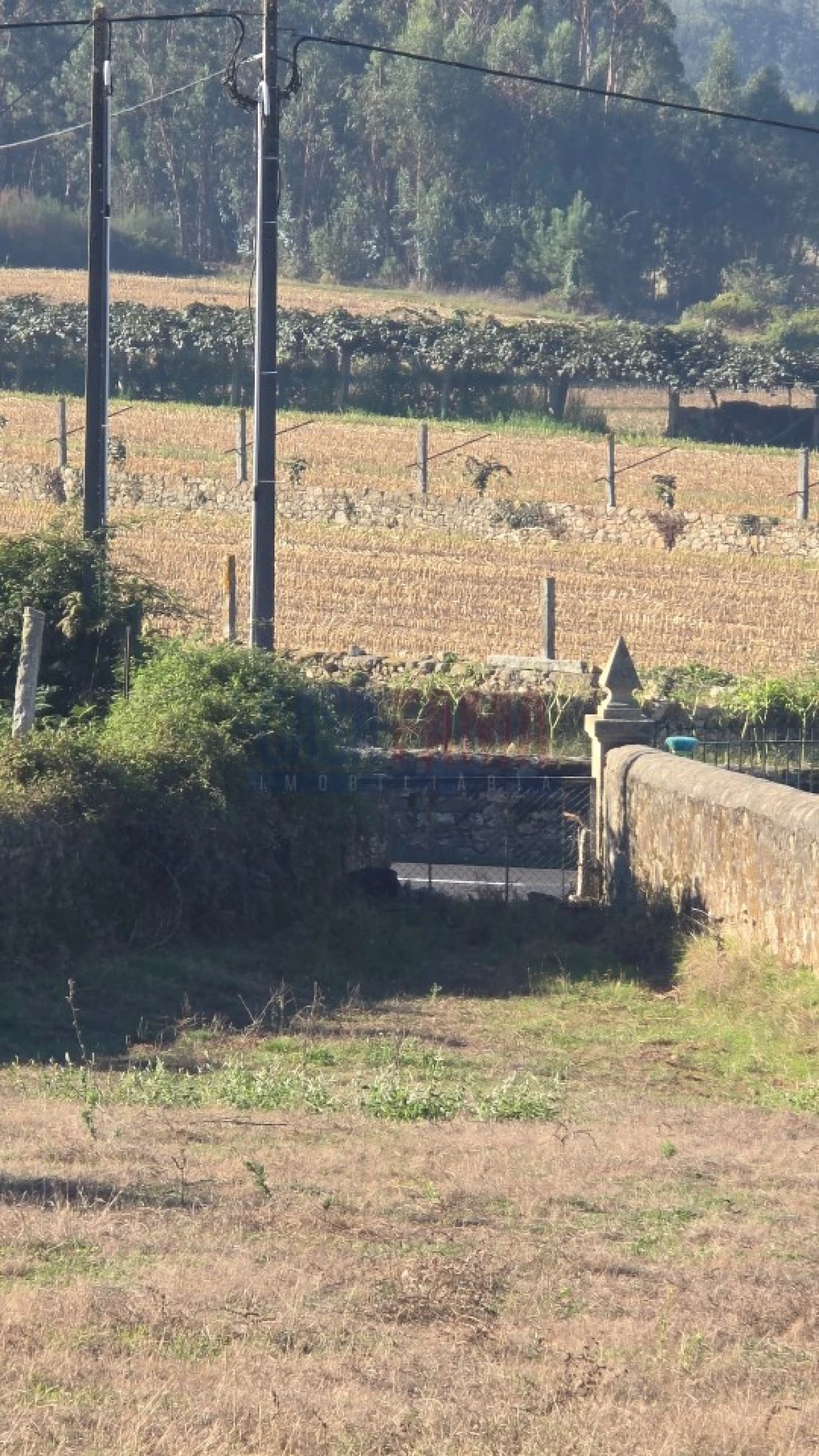 Terreno para Venda em Bagunte, Ferreiró, Outeiro Maior e Parada Foto 13
