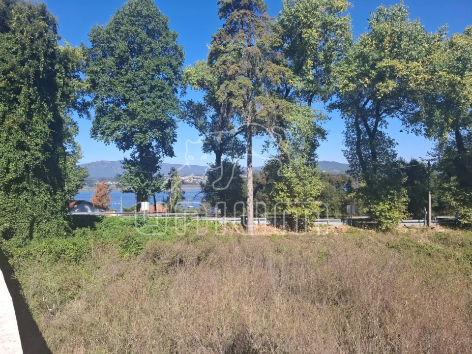 Terreno para Venda em Seixas Foto 2