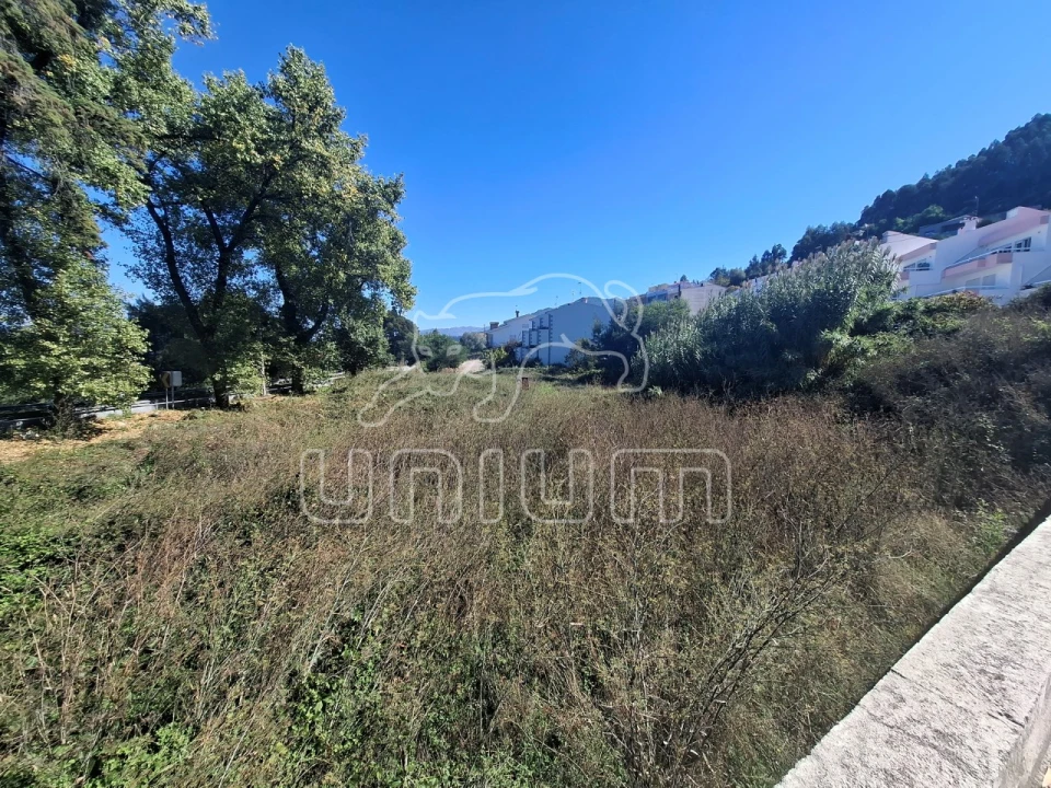 Terreno para Venda em Seixas Foto 3