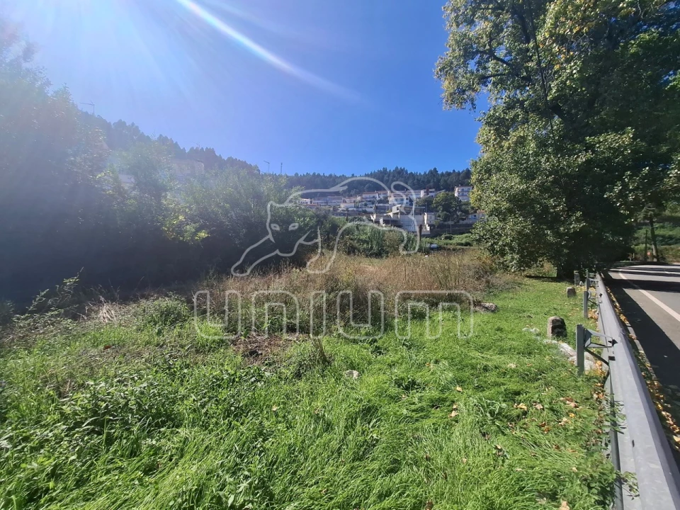 Terreno para Venda em Seixas Foto 4