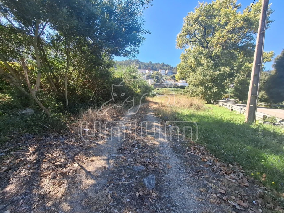 Terreno para Venda em Seixas Foto 5