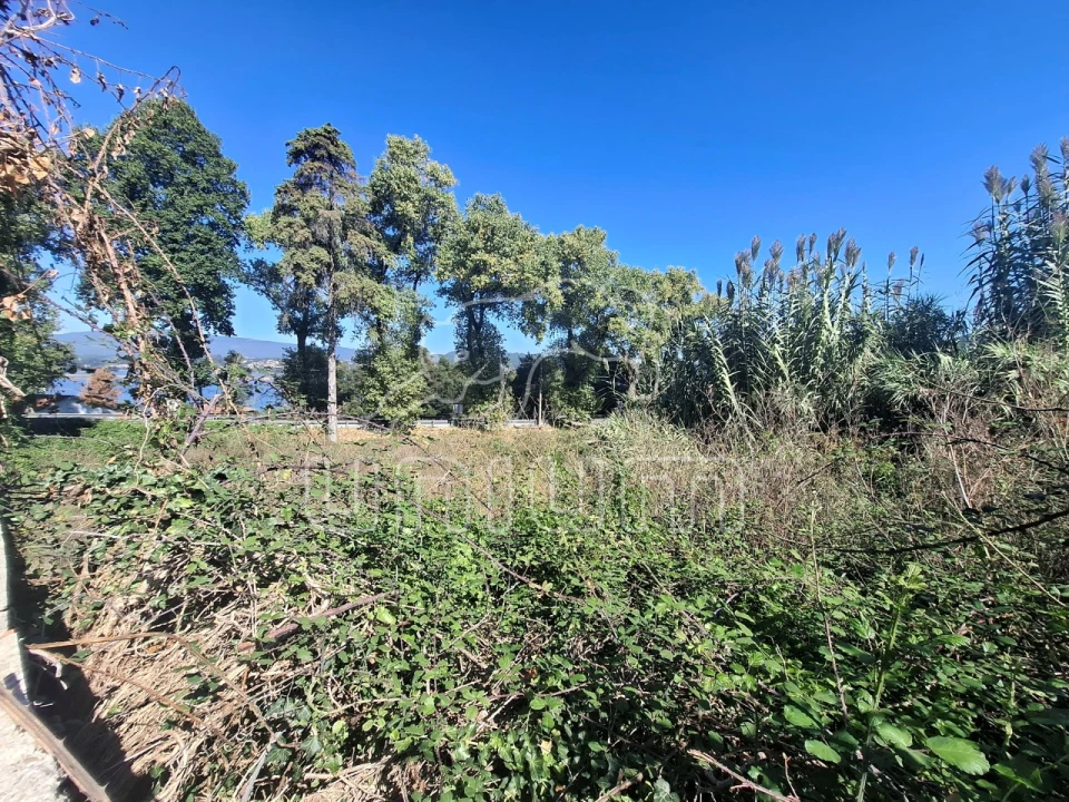 Terreno para Venda em Seixas Foto 6