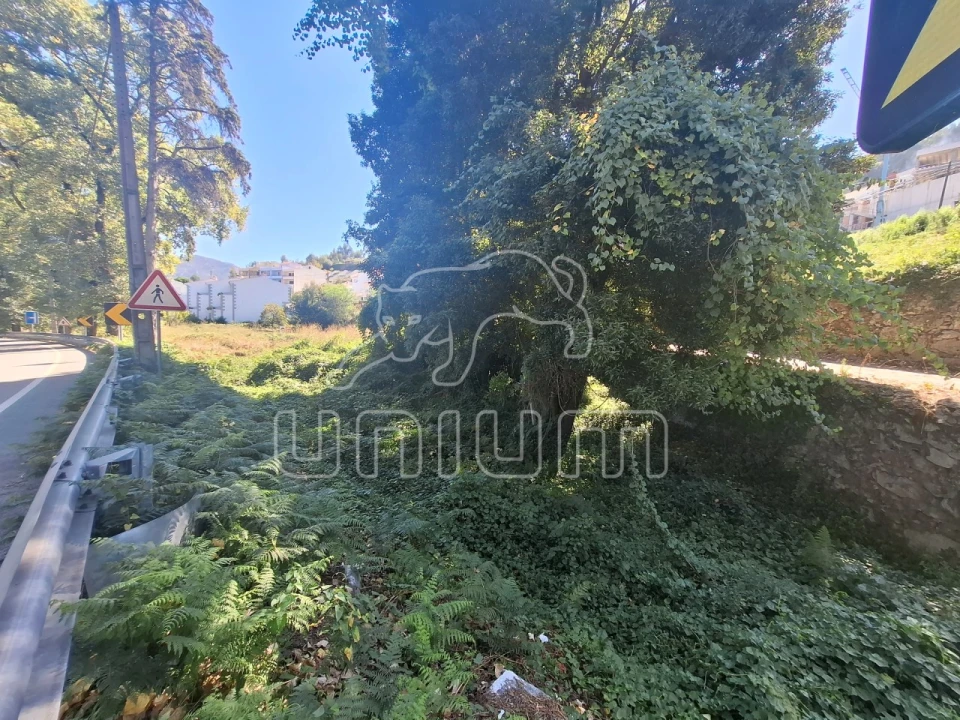 Terreno para Venda em Seixas Foto 7