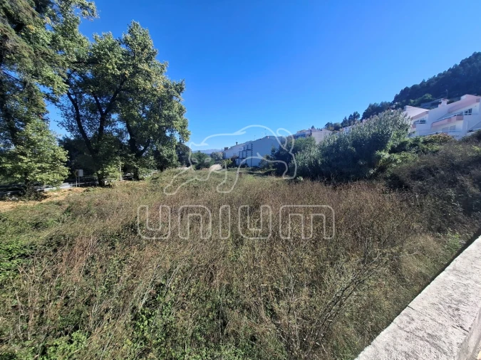 Terreno para Venda em Seixas Foto 3