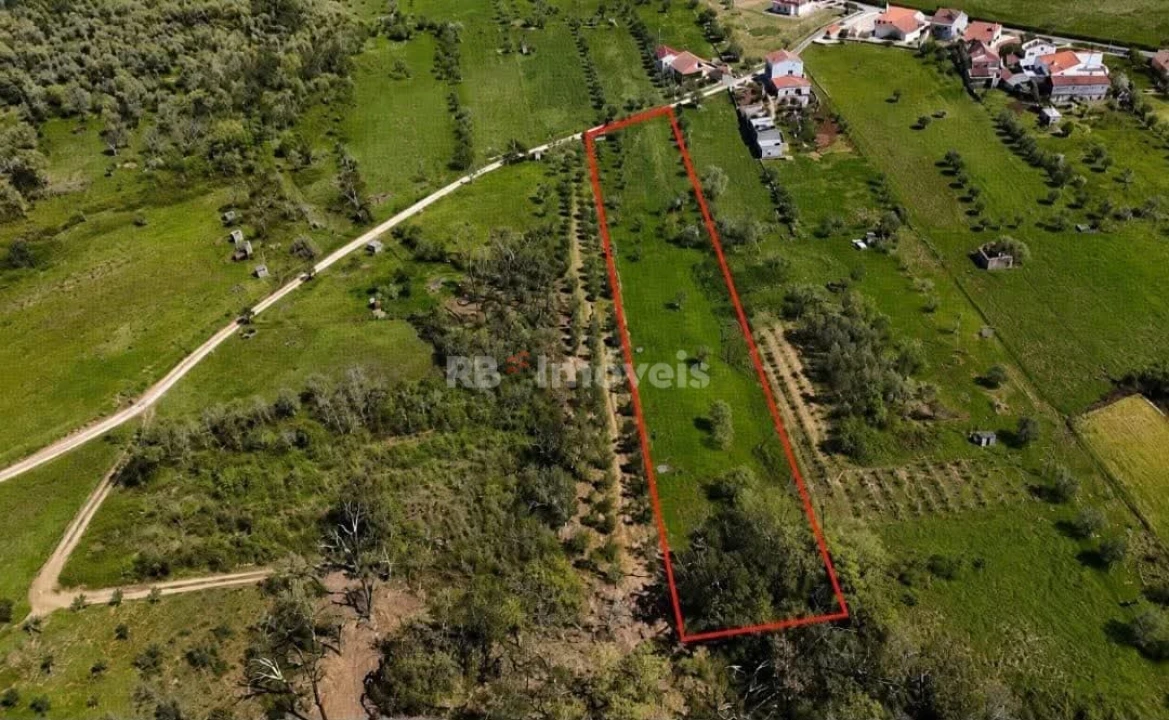 Terreno Agricola ou Rústico para Venda em Areias e Pias Foto 5