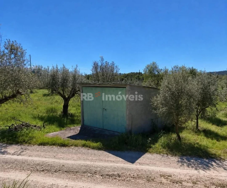 Terreno Agricola ou Rústico para Venda em Areias e Pias Foto 1