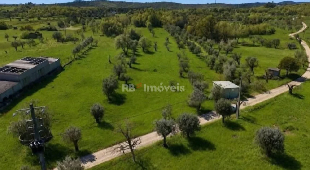 Terreno Agricola ou Rústico para Venda em Areias e Pias Foto 2