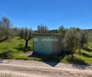 Terreno Agricola ou Rústico para Venda em Areias e Pias