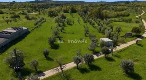 Terreno Agricola ou Rústico para Venda em Areias e Pias
