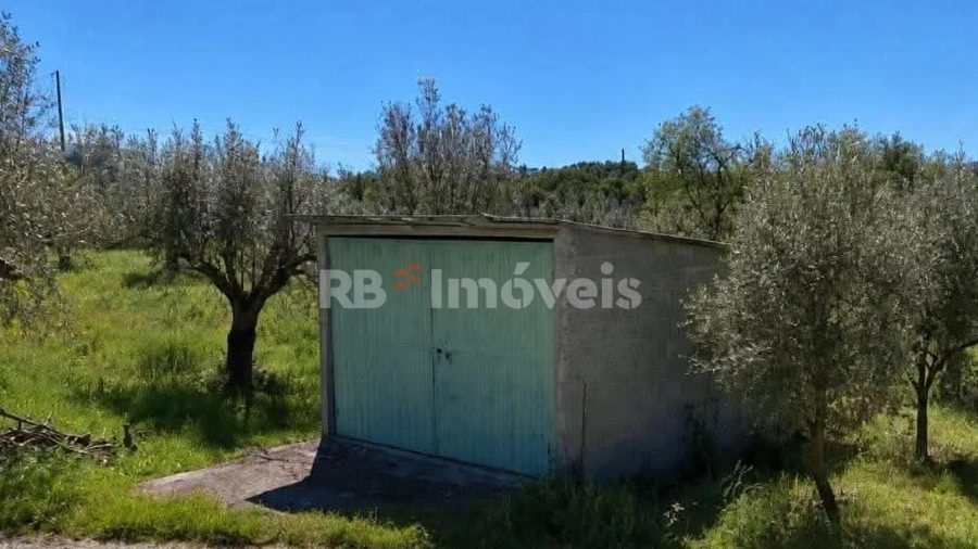 Terreno Agricola ou Rústico para Venda em Areias e Pias