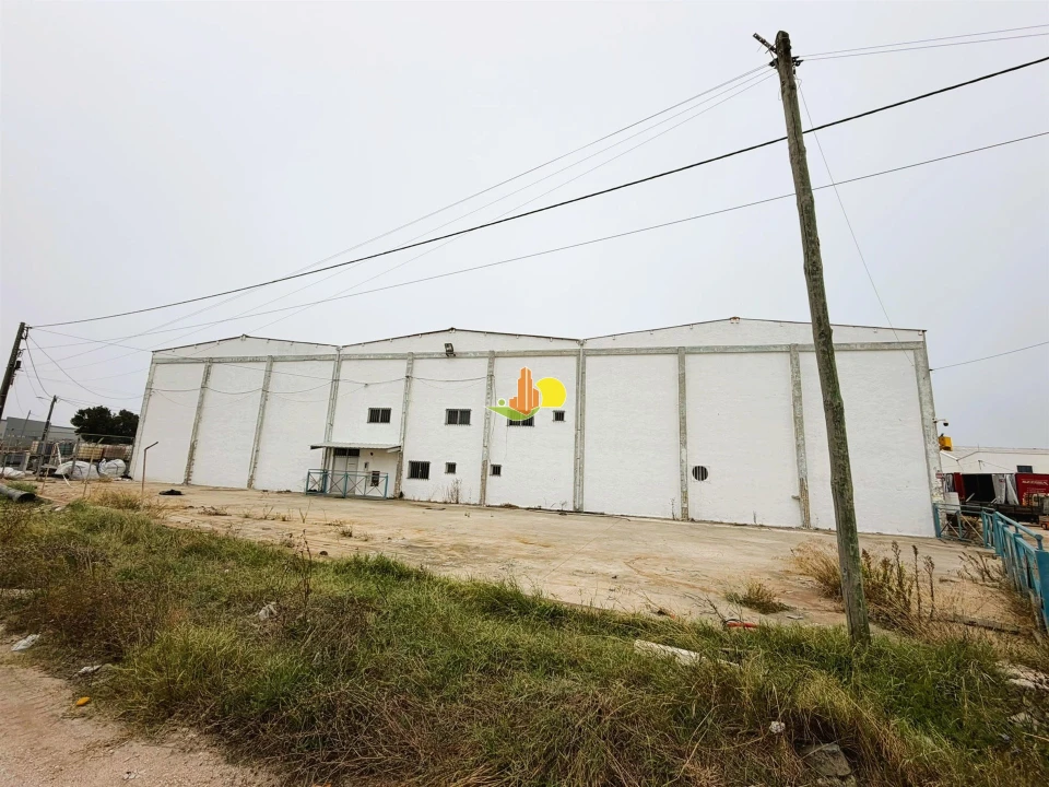 Armazém para Arrendamento em São Pedro Foto 3