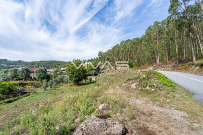 Terreno para Venda em Dossãos