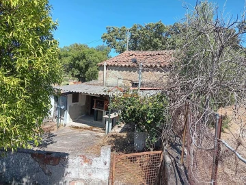 Quinta T4 para Venda em Santo Antonio das Areias