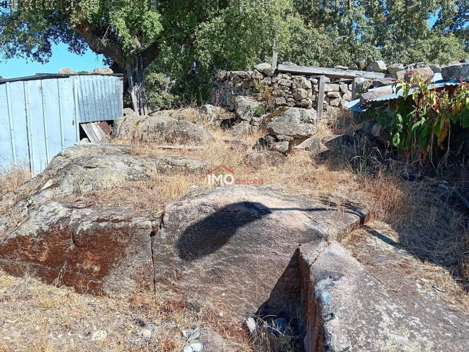 Quinta T4 para Venda em Santo Antonio das Areias Foto 29