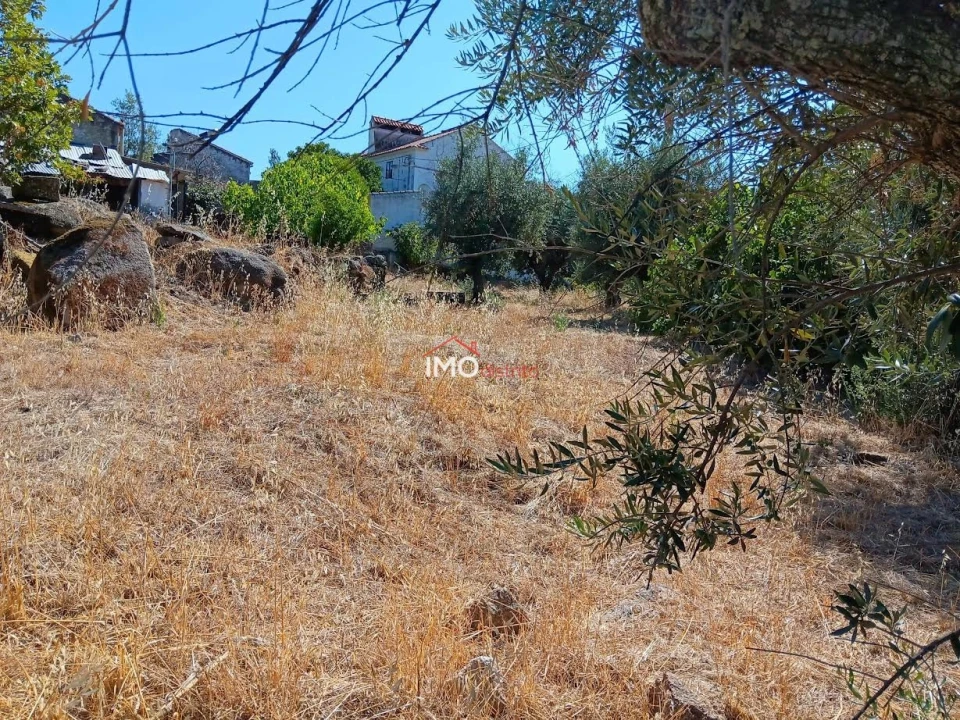 Quinta T4 para Venda em Santo Antonio das Areias Foto 5