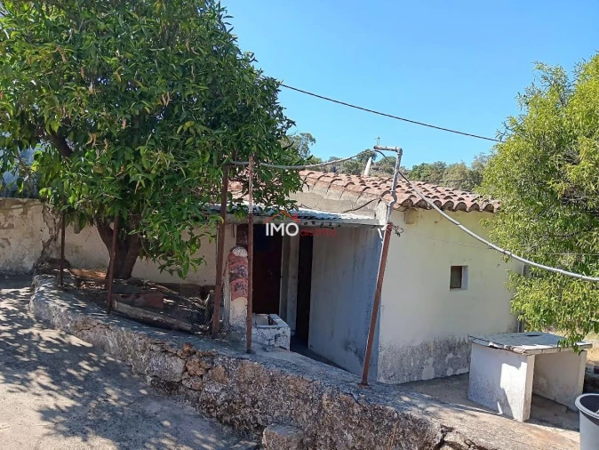 Quinta T4 para Venda em Santo Antonio das Areias Foto 33