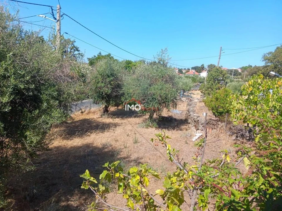 Quinta T4 para Venda em Santo Antonio das Areias Foto 32