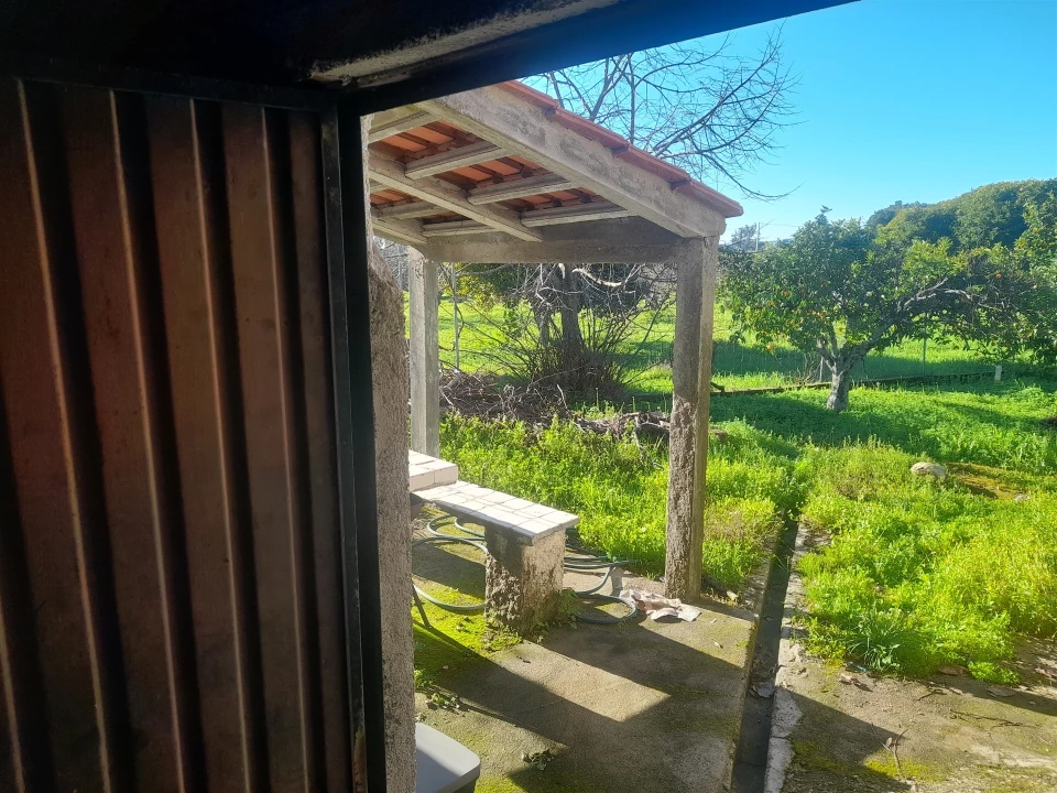 Quinta T3 para Venda em Vale de Prazeres e Mata da Rainha Foto 20