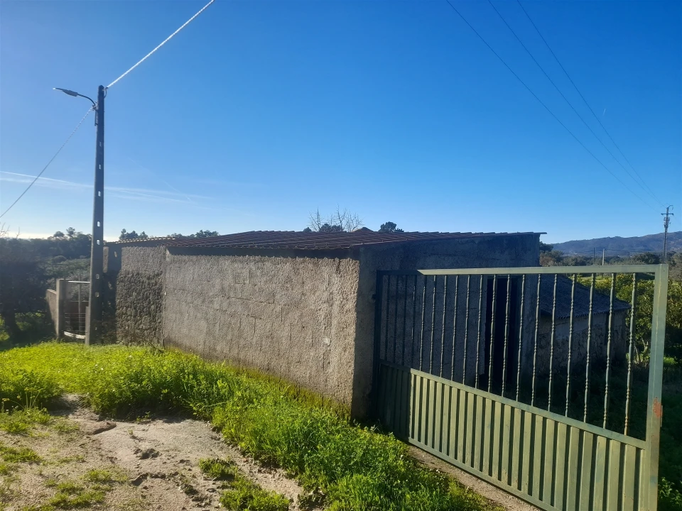 Quinta T3 para Venda em Vale de Prazeres e Mata da Rainha Foto 6