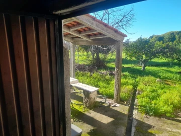 Quinta T3 para Venda em Vale de Prazeres e Mata da Rainha