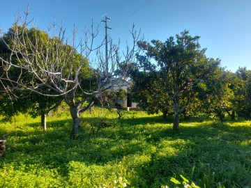 Quinta T3 para Venda em Vale de Prazeres e Mata da Rainha